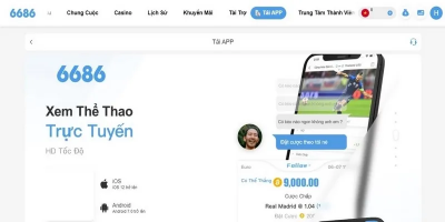 6686 bet - Đỉnh cao sàn cá cược online Châu Á